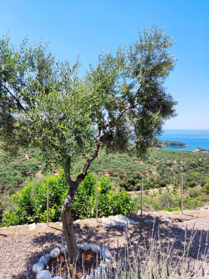 Villa Athina'S Stone House In Kardhamili Exterior foto