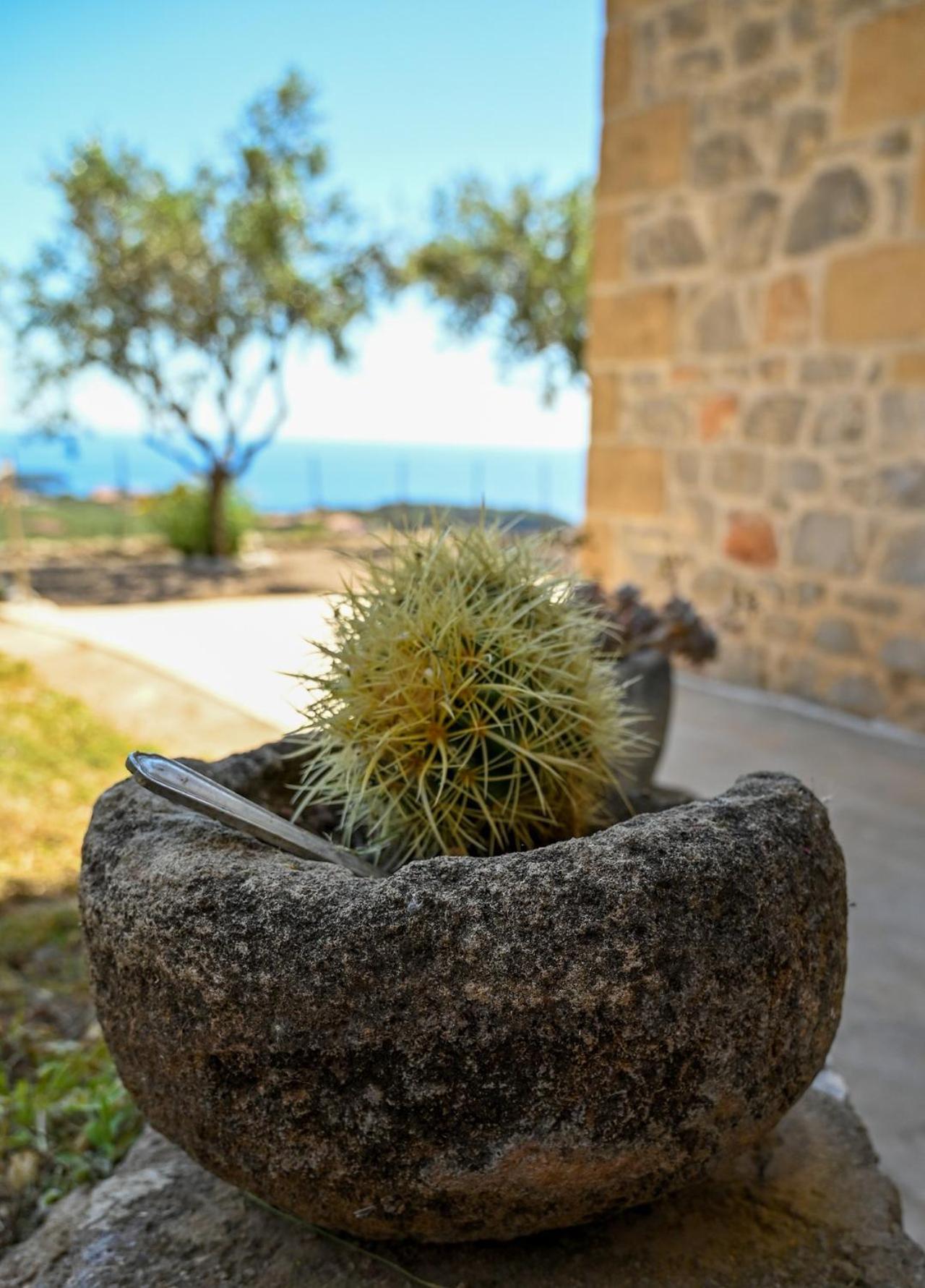 Villa Athina'S Stone House In Kardhamili Exterior foto