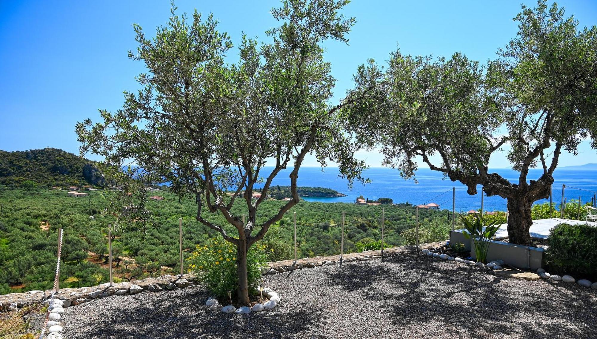 Villa Athina'S Stone House In Kardhamili Exterior foto