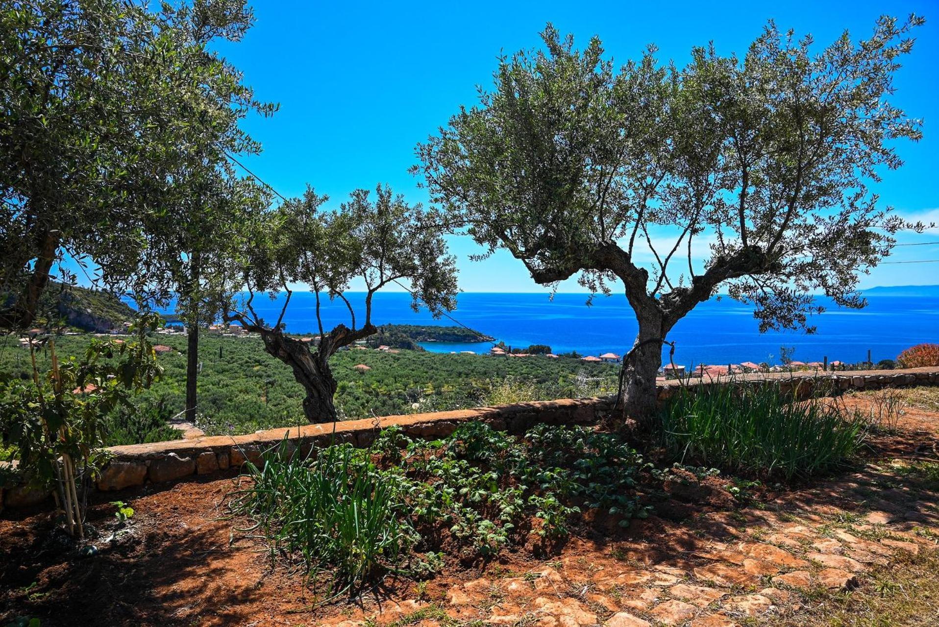 Villa Athina'S Stone House In Kardhamili Exterior foto